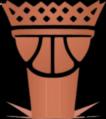 WNBA总裁杯
