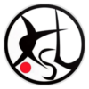 日卫星赛
